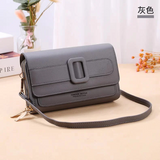 Aldo Crossbody