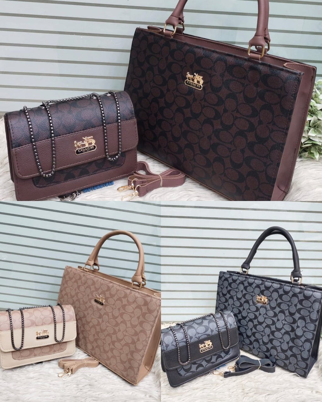 Coach Combo