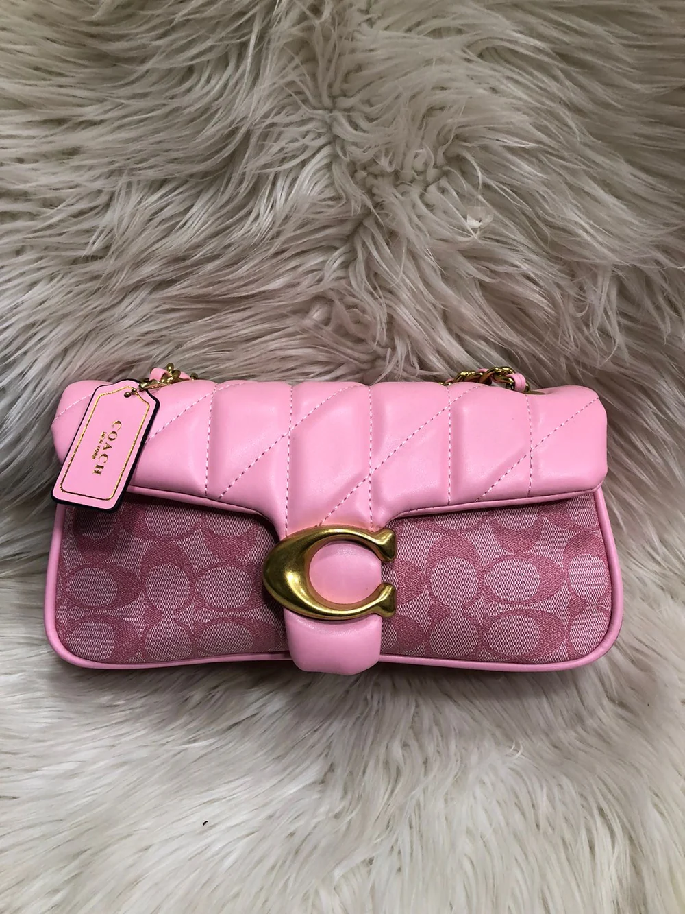 Coach Tabby Premium Chain Bag