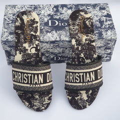 Dior slides