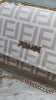 Fendi Crossbody